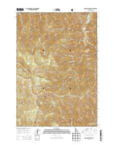 Burgdorf Summit Idaho Current topographic map, 1:24000 scale, 7.5 X 7.5 Minute, Year 2013