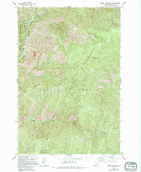 Burnt Strip Mtn Idaho Historical topographic map, 1:24000 scale, 7.5 X 7.5 Minute, Year 1966