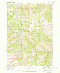 Buttercup Mtn Idaho Historical topographic map, 1:24000 scale, 7.5 X 7.5 Minute, Year 1970