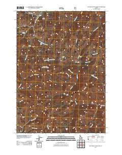 Buttercup Mountain Idaho Historical topographic map, 1:24000 scale, 7.5 X 7.5 Minute, Year 2011