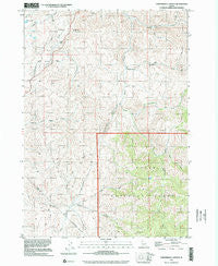 Cartwright Canyon Idaho Historical topographic map, 1:24000 scale, 7.5 X 7.5 Minute, Year 1998
