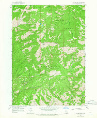 Cayuse Point Idaho Historical topographic map, 1:24000 scale, 7.5 X 7.5 Minute, Year 1964