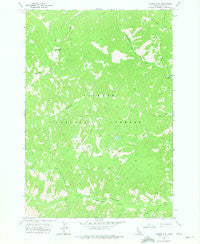 Center Mtn Idaho Historical topographic map, 1:24000 scale, 7.5 X 7.5 Minute, Year 1973