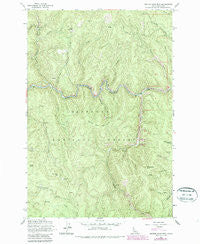 Center Star Mtn Idaho Historical topographic map, 1:24000 scale, 7.5 X 7.5 Minute, Year 1962