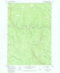 Center Star Mtn Idaho Historical topographic map, 1:24000 scale, 7.5 X 7.5 Minute, Year 1962