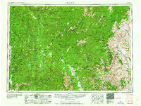 Challis Idaho Historical topographic map, 1:250000 scale, 1 X 2 Degree, Year 1963