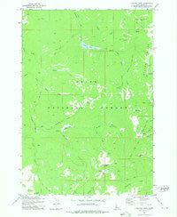 Chilcoot Peak Idaho Historical topographic map, 1:24000 scale, 7.5 X 7.5 Minute, Year 1973
