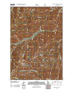 Chinook Mountain Idaho Historical topographic map, 1:24000 scale, 7.5 X 7.5 Minute, Year 2011