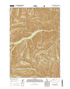 Chinook Mountain Idaho Current topographic map, 1:24000 scale, 7.5 X 7.5 Minute, Year 2013