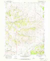Connor Ridge Idaho Historical topographic map, 1:24000 scale, 7.5 X 7.5 Minute, Year 1968