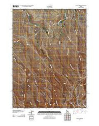Curtis Draw Idaho Historical topographic map, 1:24000 scale, 7.5 X 7.5 Minute, Year 2011