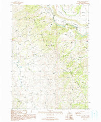 Danskin Peak Idaho Historical topographic map, 1:24000 scale, 7.5 X 7.5 Minute, Year 1990