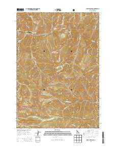 Dave Lewis Peak Idaho Current topographic map, 1:24000 scale, 7.5 X 7.5 Minute, Year 2013