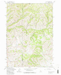 Deer Mountain Idaho Historical topographic map, 1:24000 scale, 7.5 X 7.5 Minute, Year 1963