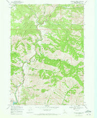 Dunnigan Creek Idaho Historical topographic map, 1:24000 scale, 7.5 X 7.5 Minute, Year 1969