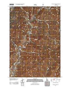 Dunnigan Creek Idaho Historical topographic map, 1:24000 scale, 7.5 X 7.5 Minute, Year 2011