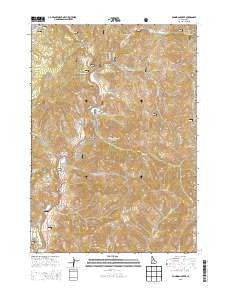 Dunnigan Creek Idaho Current topographic map, 1:24000 scale, 7.5 X 7.5 Minute, Year 2013