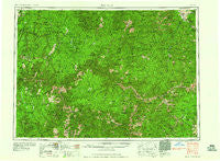 Elk City Idaho Historical topographic map, 1:250000 scale, 1 X 2 Degree, Year 1960