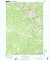 Falconberry Peak Idaho Historical topographic map, 1:24000 scale, 7.5 X 7.5 Minute, Year 1963