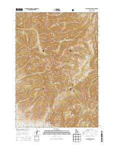 Fallert Springs Idaho Current topographic map, 1:24000 scale, 7.5 X 7.5 Minute, Year 2013