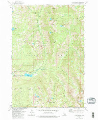Fitsum Summit Idaho Historical topographic map, 1:24000 scale, 7.5 X 7.5 Minute, Year 1973