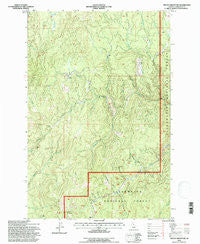 French Mountain Idaho Historical topographic map, 1:24000 scale, 7.5 X 7.5 Minute, Year 1994