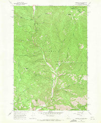 Gibbonsville Idaho Historical topographic map, 1:24000 scale, 7.5 X 7.5 Minute, Year 1966