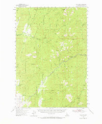 Gold Fork Idaho Historical topographic map, 1:62500 scale, 15 X 15 Minute, Year 1954