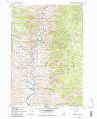 Goldbug Ridge Idaho Historical topographic map, 1:24000 scale, 7.5 X 7.5 Minute, Year 1962
