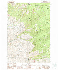 Goldstone Mtn Idaho Historical topographic map, 1:24000 scale, 7.5 X 7.5 Minute, Year 1989