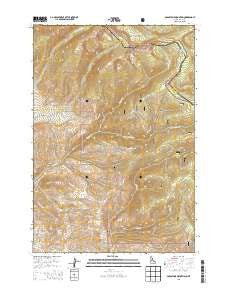 Goldstone Mountain Idaho Current topographic map, 1:24000 scale, 7.5 X 7.5 Minute, Year 2013