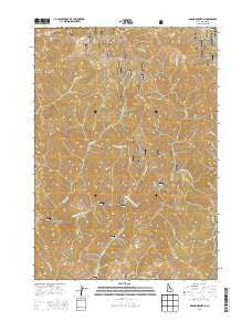 Grand Mountain Idaho Current topographic map, 1:24000 scale, 7.5 X 7.5 Minute, Year 2013