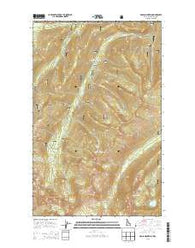 Grass Mountain Idaho Current topographic map, 1:24000 scale, 7.5 X 7.5 Minute, Year 2013