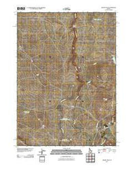 Grassy Hills Idaho Historical topographic map, 1:24000 scale, 7.5 X 7.5 Minute, Year 2011