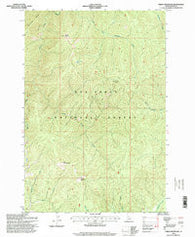 Green Mountain Idaho Historical topographic map, 1:24000 scale, 7.5 X 7.5 Minute, Year 1995