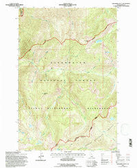 Greenside Butte Idaho Historical topographic map, 1:24000 scale, 7.5 X 7.5 Minute, Year 1994