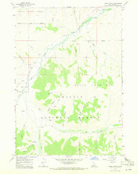 Harry Canyon Idaho Historical topographic map, 1:24000 scale, 7.5 X 7.5 Minute, Year 1967