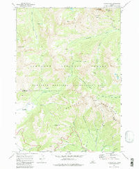 Horton Peak Idaho Historical topographic map, 1:24000 scale, 7.5 X 7.5 Minute, Year 1970