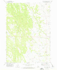 Hurry Up Creek Idaho Historical topographic map, 1:24000 scale, 7.5 X 7.5 Minute, Year 1973