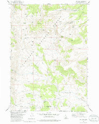 Ibex Peak Idaho Historical topographic map, 1:24000 scale, 7.5 X 7.5 Minute, Year 1977