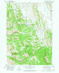 Johnson Creek Idaho Historical topographic map, 1:24000 scale, 7.5 X 7.5 Minute, Year 1949