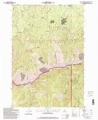 Kelly Mountain Idaho Historical topographic map, 1:24000 scale, 7.5 X 7.5 Minute, Year 1995