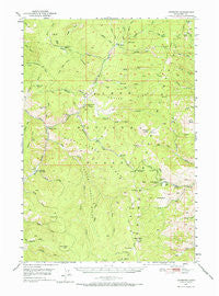 Leesburg Idaho Historical topographic map, 1:62500 scale, 15 X 15 Minute, Year 1950