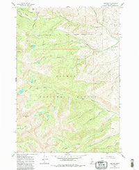 Lem Peak Idaho Historical topographic map, 1:24000 scale, 7.5 X 7.5 Minute, Year 1962