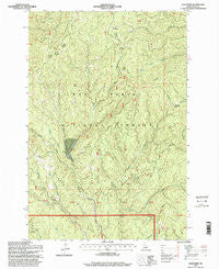 Lick Point Idaho Historical topographic map, 1:24000 scale, 7.5 X 7.5 Minute, Year 1995