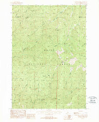Lightning Ridge Idaho Historical topographic map, 1:24000 scale, 7.5 X 7.5 Minute, Year 1988