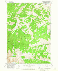 Livingston Creek Idaho Historical topographic map, 1:24000 scale, 7.5 X 7.5 Minute, Year 1964