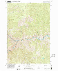 Long Tom Mtn Idaho Historical topographic map, 1:24000 scale, 7.5 X 7.5 Minute, Year 1962