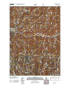 Lowman Idaho Historical topographic map, 1:24000 scale, 7.5 X 7.5 Minute, Year 2011