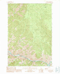 Mackay Bar Idaho Historical topographic map, 1:24000 scale, 7.5 X 7.5 Minute, Year 1989